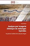 Analyse par imagerie chimique de mélanges hybrides: les patines rituelles de la statuaire dogon (Omn.Univ.Europ.)