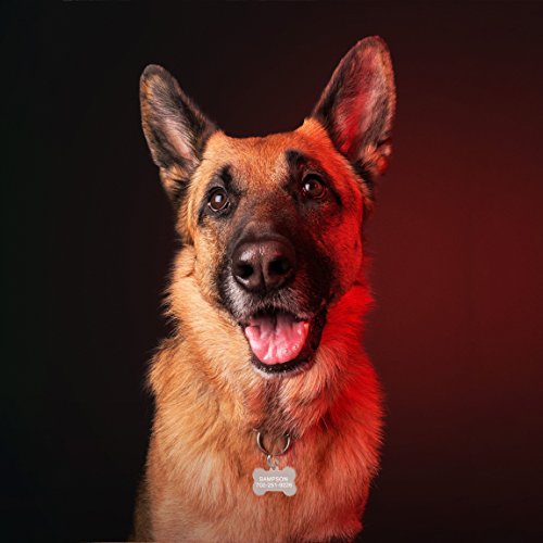 Amlion Personalized Engraved Dog Tags, Custom Dog Cats Tags, Stainless Steel Pet Id Tags, Double-Sided Engraved, Bone, Rectangle, Round, Heart Shape(5 Colors) (Small Bone, Rose Gold) #TOP6