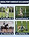 inoreal 6 Pcs Pole Bending Poles with Weighted Base for Horses, Adjustable Equestrian Sports Training Equipment for Horses, Agility Poles for Horses, Soccer, Football, Dog