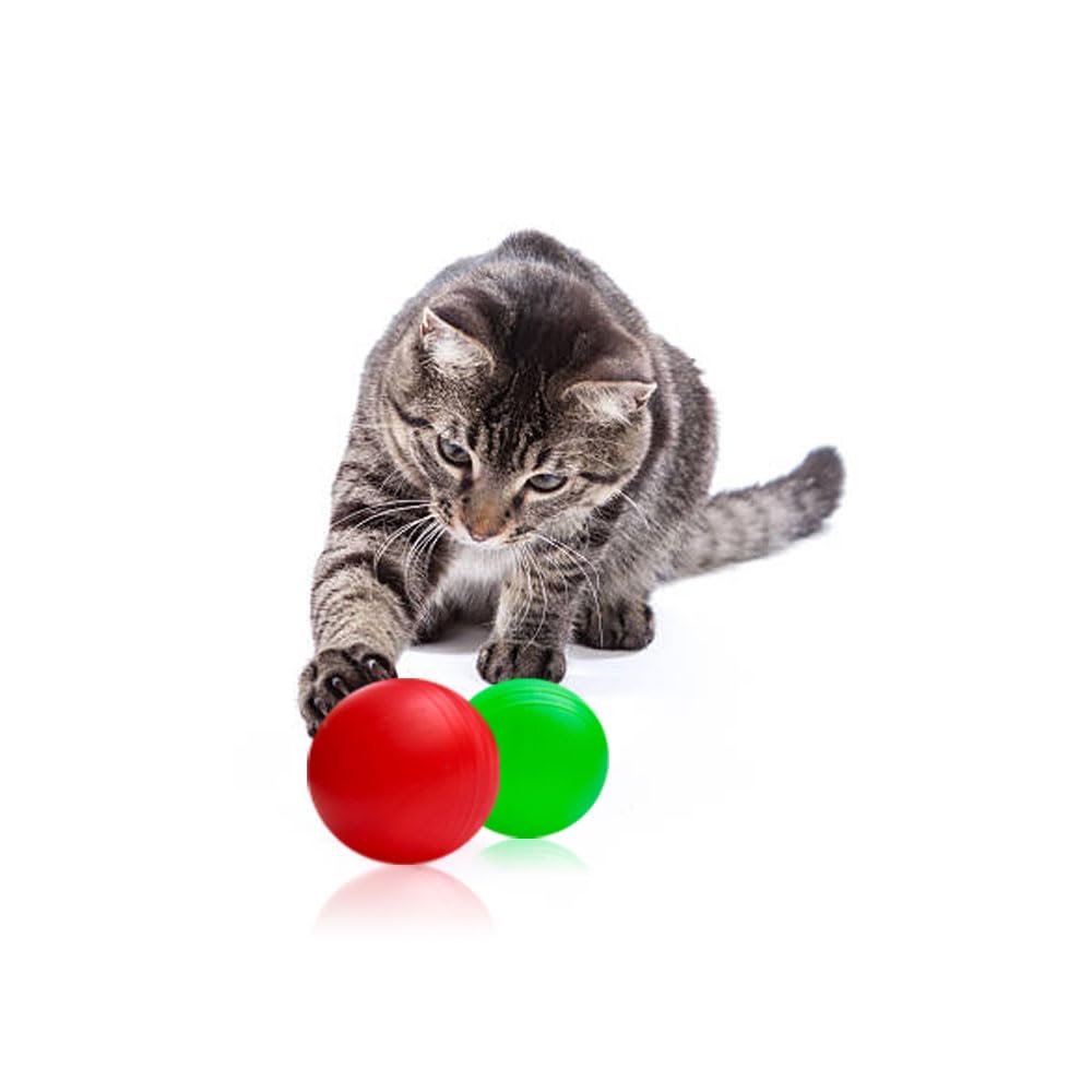 MATS AVENUE DOOR MATS AT YOUR DOOR STEP Interactive Sound Making Catnip Toy Ball With Natural Catnip And Metal Ball Inside Playing Claw Toy For Cats Persian Cats And Kitten Bigger 6 Cm Dia Set Of 2 (B0CYHJW6MC) Amazon Price History, Amazon Price Tracker