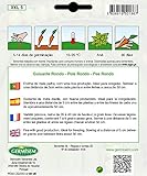 Zoom IMG-1 germisem xxl 5 semi Zoom IMG-1 germisem xxl 5 semi