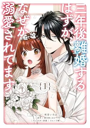 婚約者に側妃として利用されるくらいなら魔術師様の褒賞となります: 1