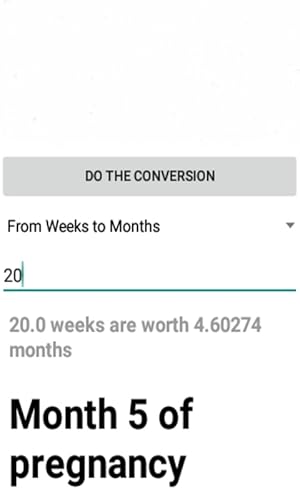 Weeks to Pregnancy Months