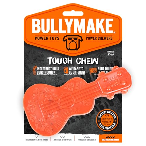 BullyMake Toss n Treat Peanut Butter Flavored Ukelele Dog Chew Toy One Size