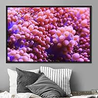 Framed Canvas Wall Art Deep Under Group Jellyfish Marine Life Multicolor Photography Realism Tropical Ultra Whimsical - 16x24 inches