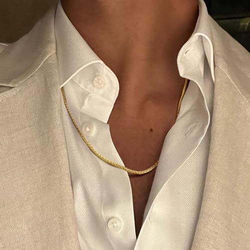 Necklace Chains 14K Gold Necklace for Women & Mens Chain Necklaces for Women Trendy Franco Chains Foxtail 14K Gold Chain for Men Womens Jewelry for Womens 2.5mm 16-30in3