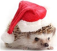 Vista 5 de HAICHEN TEC Ropa de erizo, disfraz de Navidad, traje de Papá Noel, ropa de animal pequeño, forro polar hecho a mano, sudadera con capucha de erizo