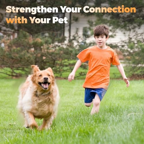 Pragmatist Mastro de paquera ao ar livre para cães, mastro destacável para paquerar para cães resist