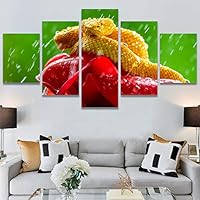 SIGNWIN 5 Panel Canvas Wall Art Modern Art Chic Expressive Frog Multicolor Photography Reptiles Snakes for Home Decorations Ready to Hang - 60