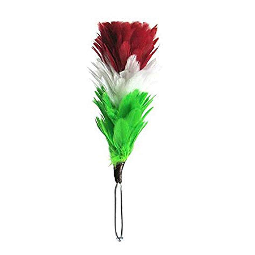 Tartan City 6 Inch Feather Hackle Red/White/Green - Perfect for Scottish Glengarry Hat