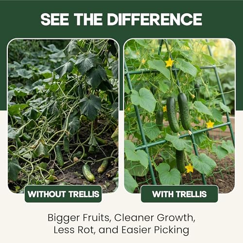 image for K-Brands 50x50 Cucumber Trellis for Raised Bed - A Frame Garden Trelli