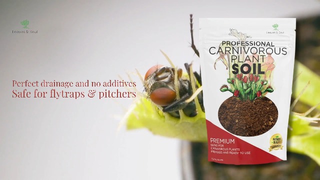 Amazon.com : Professional Carnivorous Plant Soil Mix Large 2.2