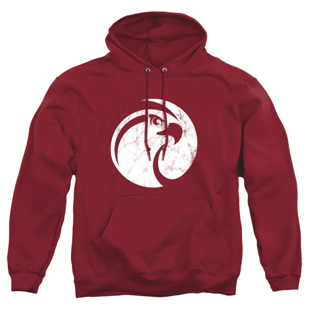 LOGOVISION Official Collegiate Distressed Primary Logo Adult Pullover Hoodie Collection — view 79