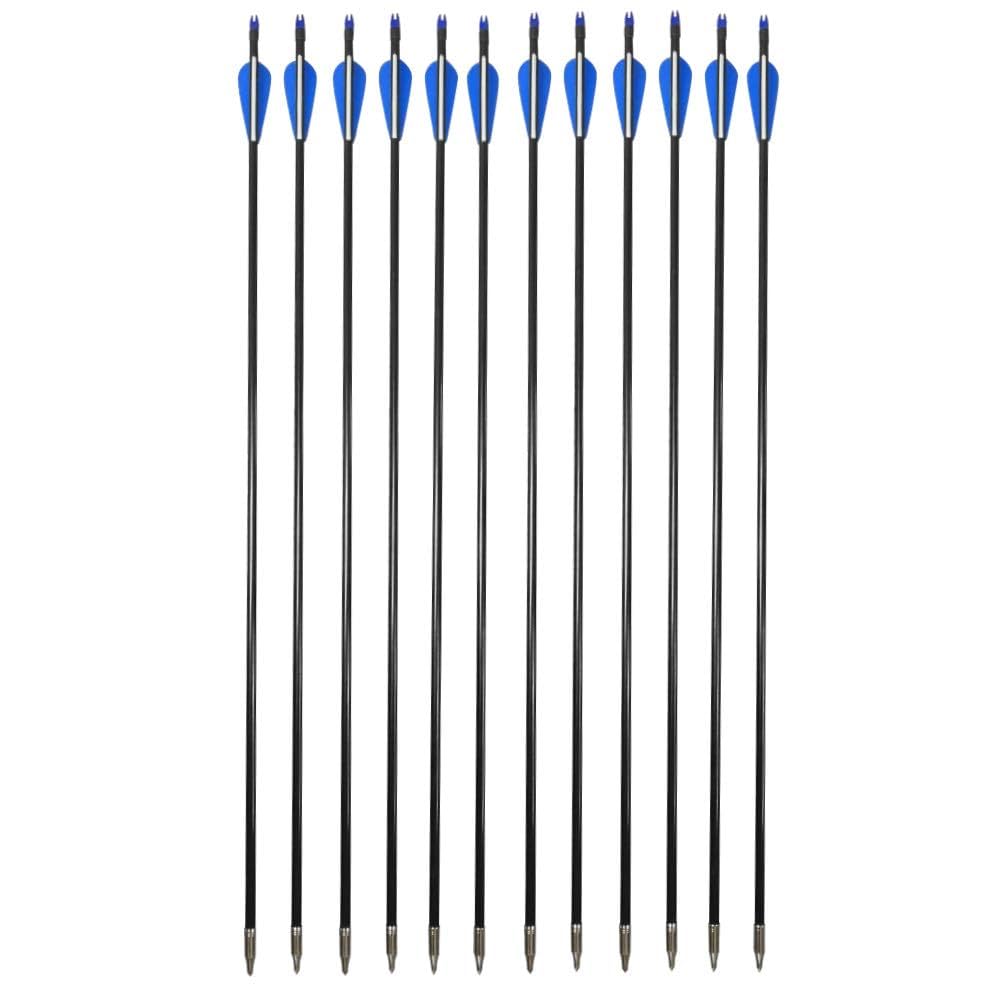 与一の矢 Amazon.co.jp: ZSHJGJR 8mm アーチェリー矢 グラスファイバー