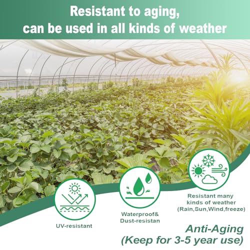 Forthbeyond HRG-001 10Ft*26Ft Greenhouse Plastic Sheeting,6Mil Thickness Transparent Greenhouse Film,4 Year Uv Resistant Hoop House Plastic Covering thumb #3