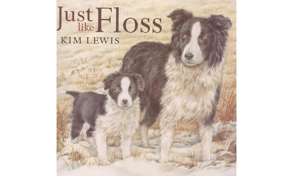 Just Like Floss Paperback – January 1, 2000