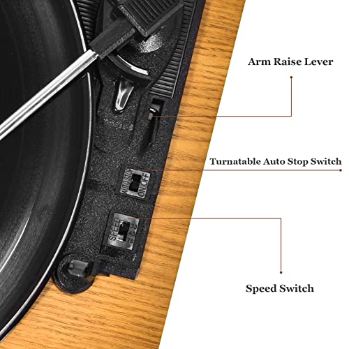 VIFLYKOO Platine Vinyle Bluetooth, Tourne Disque Vinyle avec 2 Haut-Parleurs Stéréo, 3 Vitesses, 33/45/78 u/Min, Prend… - Les Beatles, Paul McCartney, John Lennon, RIngo Starr, George Harrison VIFLYKOO Platine Vinyle Bluetooth, Tourne Disque Vinyle avec 2 Haut-Parleurs Stéréo, 3 Vitesses, 33/45/78 u/Min, Prend… – Image 4