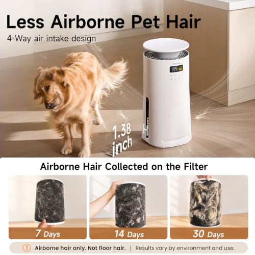 whole house air purifier product image