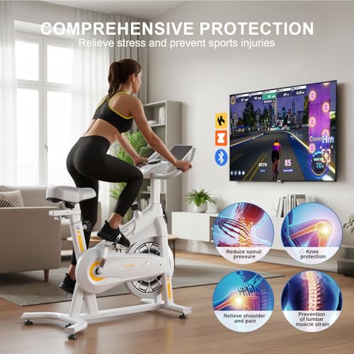 Image of Exercise Bikes for Home,Spin Bike with Adjustable Magnetic,Brake Pad Resistance Silent Belt Drive,350lbs /300lbs Weight Capacity &Upgraded Version Seat for Home Cardio&Weight Loss(QM-530W)