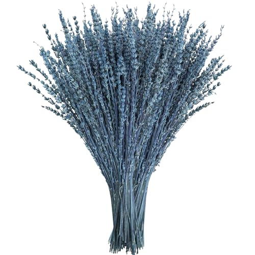 Ramilletes de flores de lavanda azul secas de 17 pulgadas miniatura 1