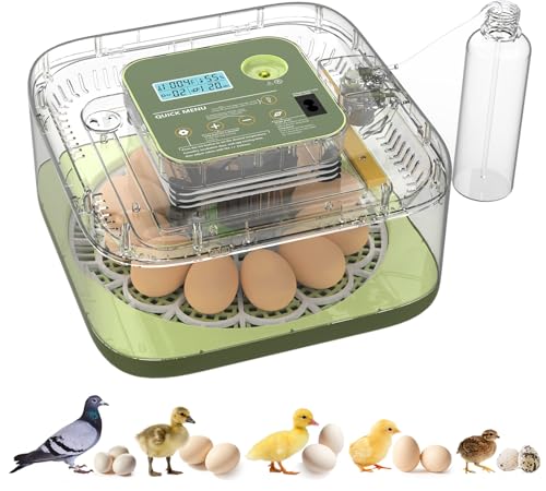 Incubateurs pour éclosion d'œufs 26 couveuse automatique oiseau poule caille