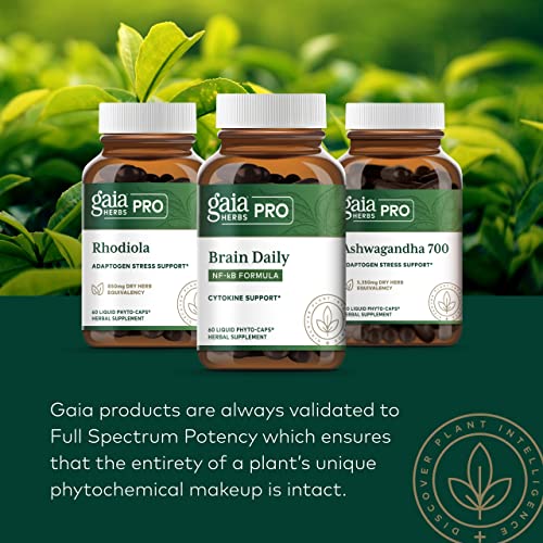 Gaia Pro Echinacea Goldenseal - Supports Immune & Lung Health - With Echinacea, Angustifolia, Echinacea Purpurea, Goldenseal & St. John’s Wort - 60 Vegan Liquid Phyto-Capsules (30 Servings) #TOP5