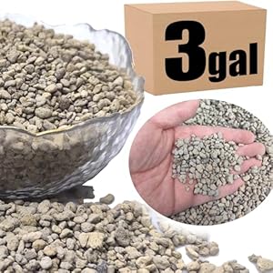 Organic Pumice for Bonsai and Horticultural 100% Natural (3 gallons, 1/4 inch)