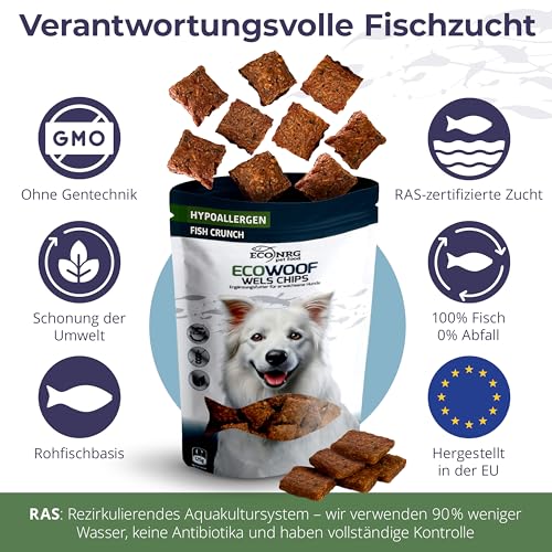 ECO WOOF Fisch Hundeleckerli - 100% Wels Chips - 750 g - Hypoallergen - Single-Protein - Getreidefrei - Hunde Snack mit Omega 3 & Kollagen - Ideal für empfindliche Hunde - Gesunde Trainingsleckerli