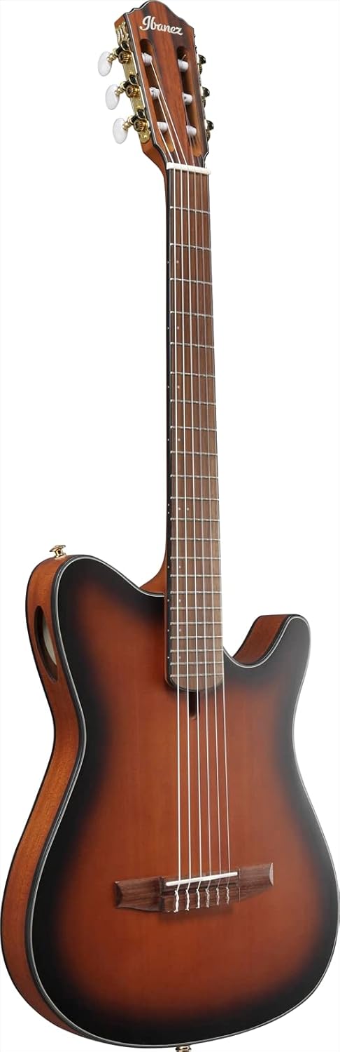 Ibanez FRH10N Thinline Nylon Acoustic-electric Guitar - Brown Sunburst