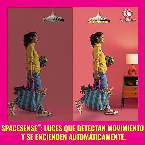 Imagen 5