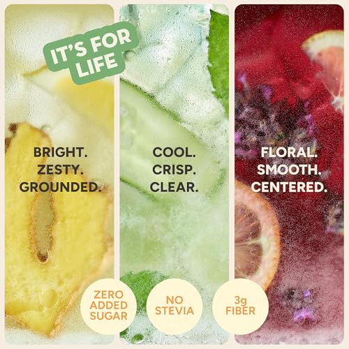 Image of RINGA Variety Pack Sparkling Hydration Drink - Cucumber Mint, Lavender Lemonade & Lemon Ginger - Organic Moringa + Apple Cider Vinegar with 3g Prebiotic Fiber - No Added Sugar, No Artificial or Natural Flavors - 12oz Cans (12 Pack)