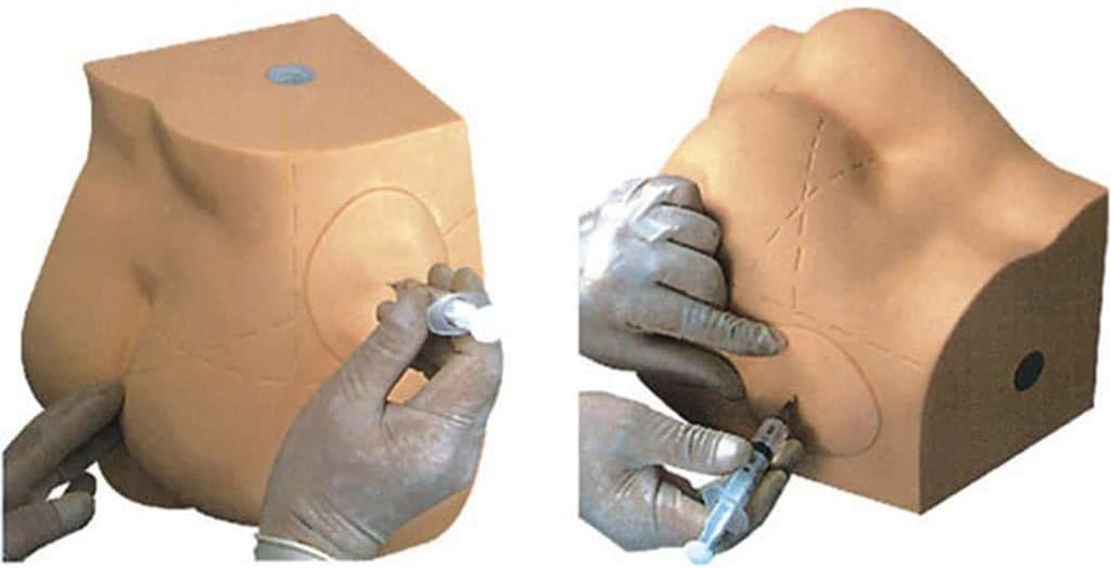 Human Dummy, Buttock Injection Practice Model Hip Muscle Medical Teaching Model, Vivid Hip Intramuscular Anatomical Model, Manikin Teaching Model for Medical Students or Nurses