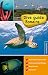 Dive guide Bonaire