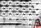5 Stück Stacheldraht Barbed Wire Aufkleber Karomuster Karo Sticker Taxi Dekor x3