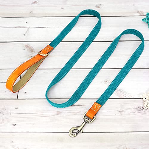 Collier pour chien en cuir véritable et nylon bleu vert réglable taille L - 7
