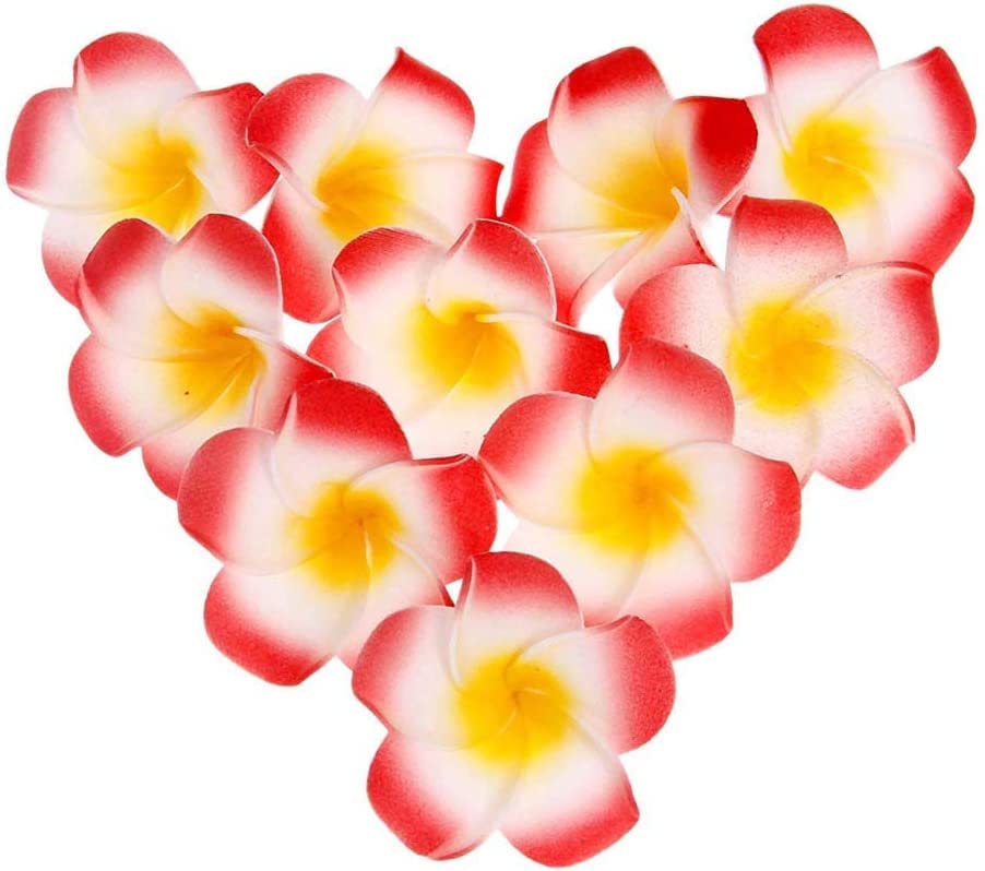 ALEVAN 2.4 inch Artificial Plumier Rubric Hawaiian Flower Petals Hair Hat Wreath Floral Hawaiian Foam Frangipani Flowers for DIY Home Beach Wedding Party Decoration (Red, 48) (B0BF9MC2S1) Amazon Price History, Amazon Price Tracker