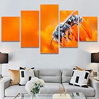 SIGNWIN 5 Panel Canvas Wall Art Bee Closeup Colorful Decorative Elements Fine Art Home Office Insects for Home Decorations Ready to Hang - 60