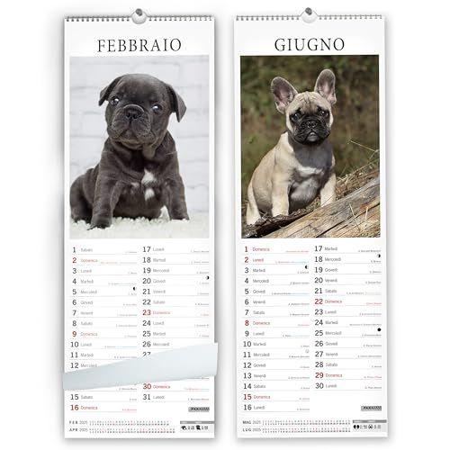 Bouledogue Francese. Calendario 2025. Long - 2