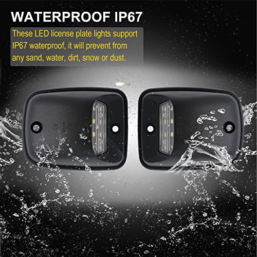 Image of R&F Auto 12-SMD LED License Plate Light Replacement for Tacoma 1995-2004 Pickup Truck 6000K Error Free Xenon Pure White Tag Lamp Assembly Rear Running Lamps Clear Lens
