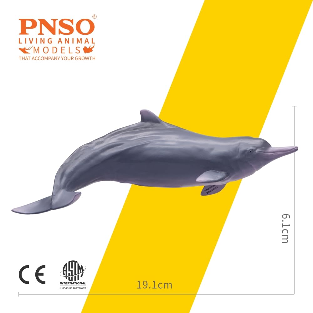 Amazon.com: PNSO Living Animal:17 Xibao the Chinese White Dolphin