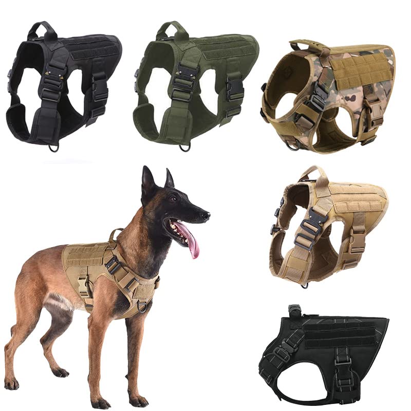 https://m.media-amazon.com/images/I/512iFnLVr+L.jpg