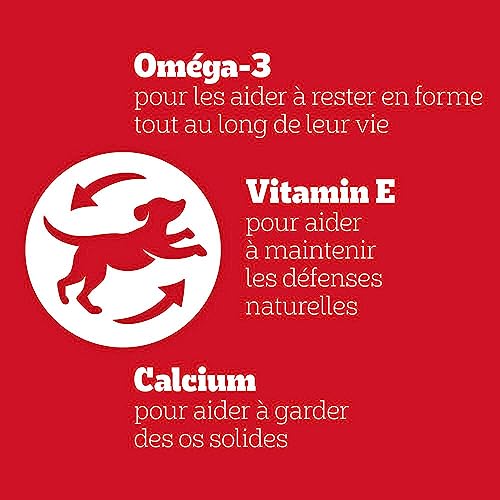 Pedigree Sa Récompense – Bouchées Moelleuses pour Chien – Friandises au poulet – 6 sachets de 130g – Image 5