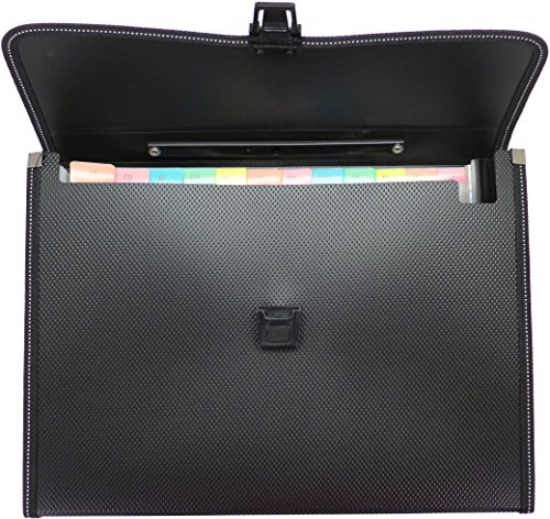 Cypress Lane Expanding File Folders With Handle, 13 Pockets, Letter Size (Black) #TOP1
