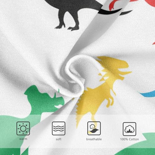 Dinosaur Toddler Boy's Underwear 2T 202c11363