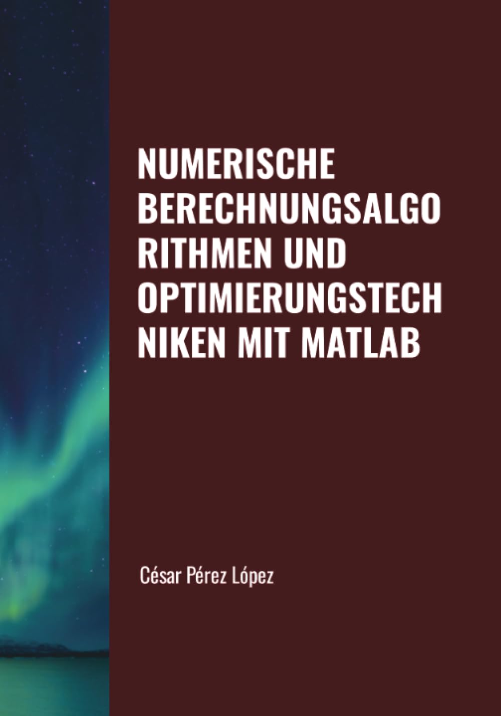 NUMERISCHE BERECHNUNGSALGORITHMEN UND OPTIMIERUNGSTECHNIKEN MIT MATLAB (German Edition)