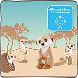 NICI Kuscheltier Erdmännchen 30 cm – Erdmännchen Plüschtier für Mädchen, Jungen & Babys – Flauschiges Stofftier Erdmännchen zum Kuscheln, Spielen und Schlafen – Gemütliches Schmusetier – 45850
