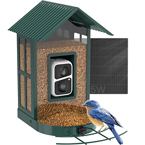 Comparison of Best Bird Buddy Feeder Top Picks 2023 Reviews