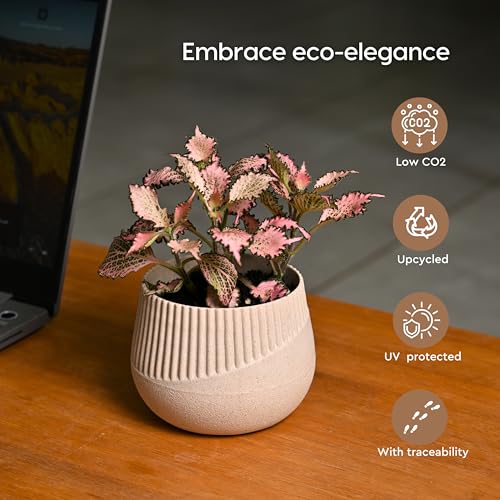Image of Eha Earth Friendly Oreo 4 inch Small pots for Indoor Plants | Set of 4 | Plant Pot Made with Bamboo Fibers | Table Top Planters for Home Decor and Office, Flower Pot for Living Room | Sand Castle
