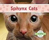 sphynx cats for adoption colorado  SPHYNX CATS (Cats, 2)