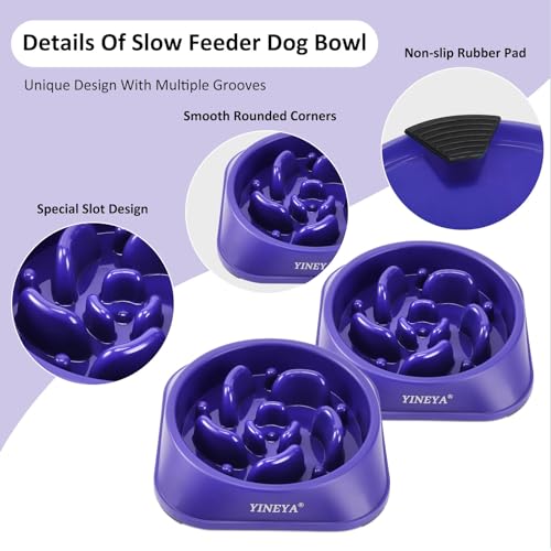 Slow Feeder Dog Bowls Large Breed, Dog Slow Feeder Bowl, Dog Food Bowls Slow Feeder, Dog Bowl Slow Feeder, Dog Bowl That Slow Down Eating(Purple) Slow Feeder Dog Bowls Large Breed, Dog Slow Feeder Bowl, Dog Food Bowls Slow Feeder, Dog Bowl Slow Feeder, Dog Bowl That Slow Down Eating(Purple)